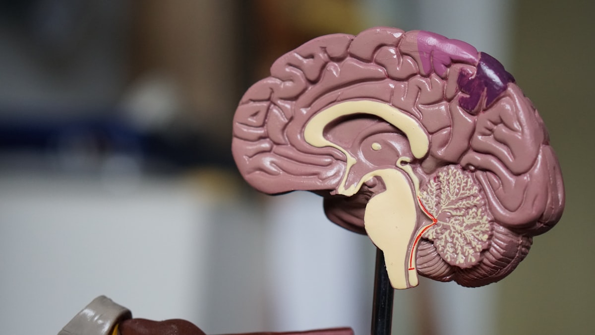 Neuro & Pulmonary Diagnostics